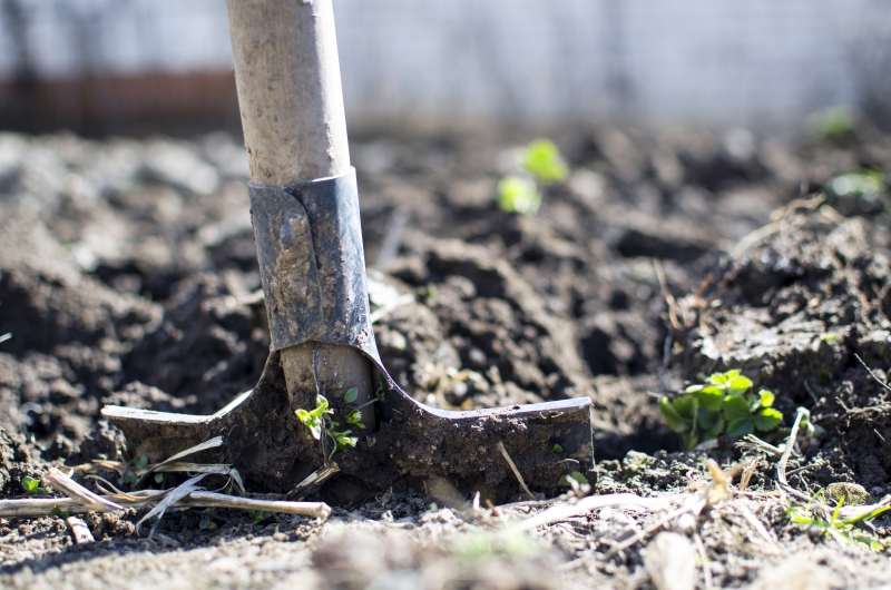 jardinerie-CANNES-min_equipment-2047314